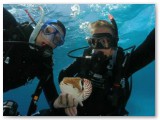 releasing the nautilus