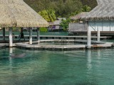 Moorea11