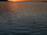 Moorea21